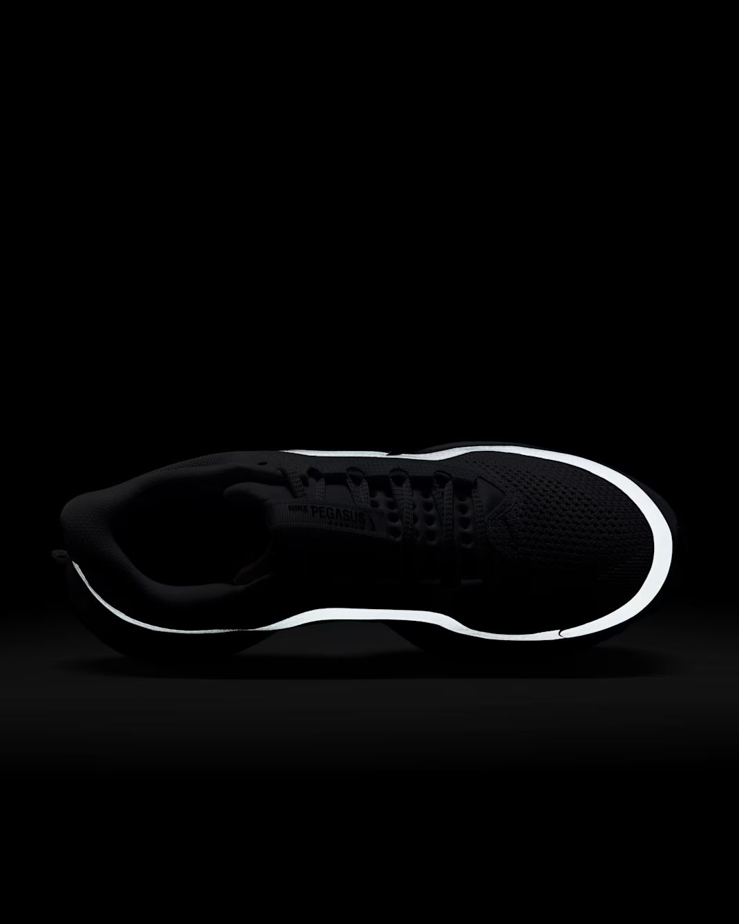 Nike Air Zoom Pegasus Premium Persian Violet